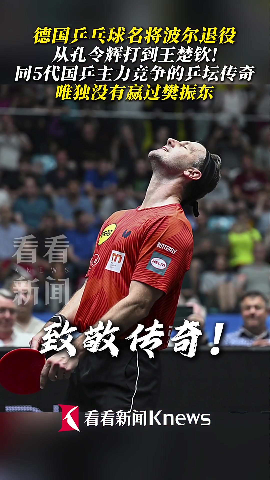 关于波兰乒乓球队碾压英国乒乓球队，波尔一己之力扛起全队的信息