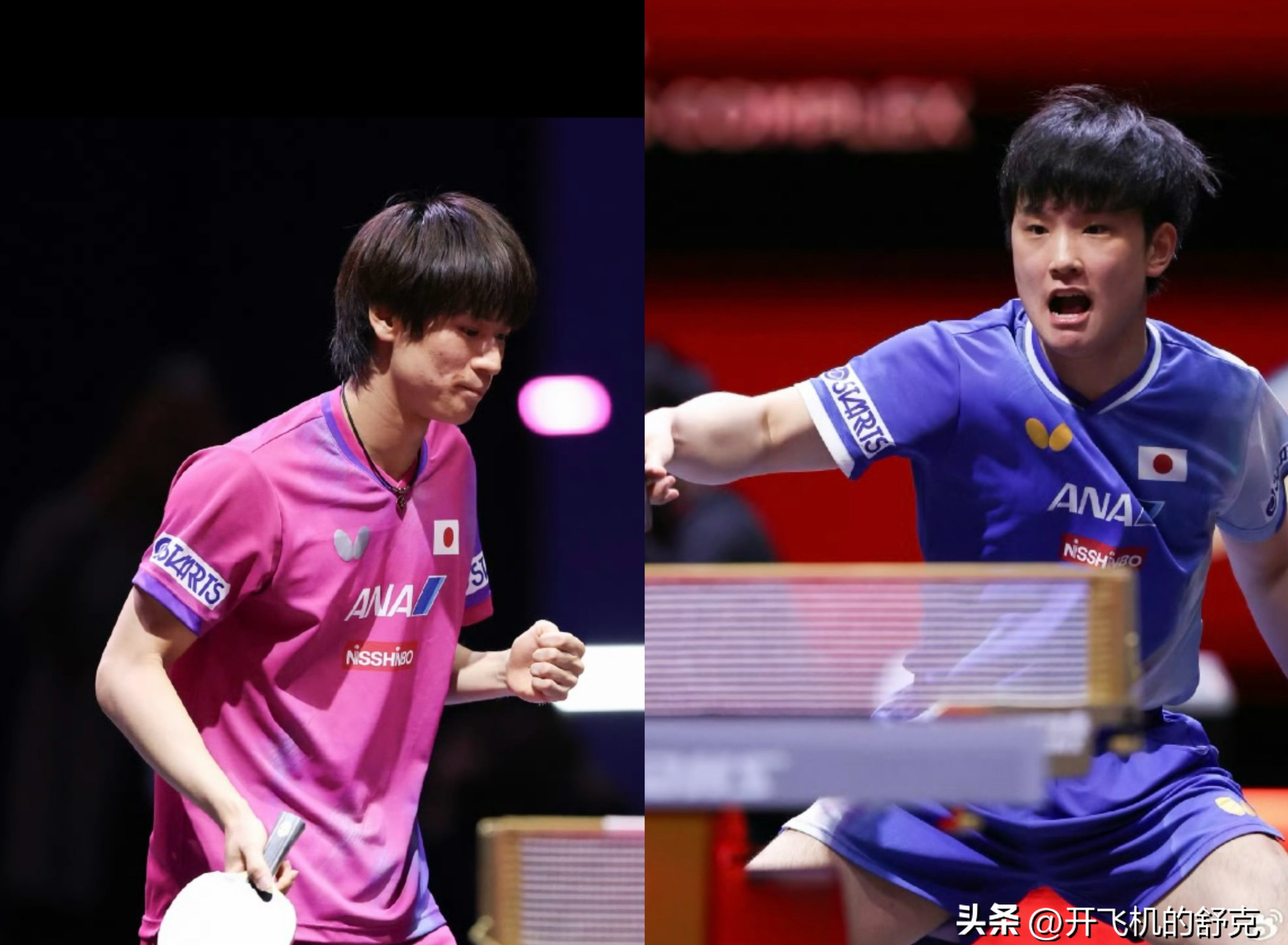 关于瑞典乒乓球队横扫日本乒乓球队，水谷隼爆发神勇的信息