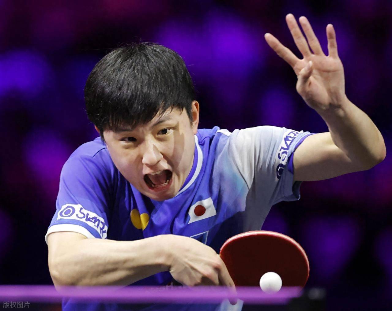 关于日本乒乓球队血洗德国乒乓球队,张本智和打破历史纪录的信息 关于日本乒乓球队血洗德国乒乓球队,张本智和打破历史纪录的信息