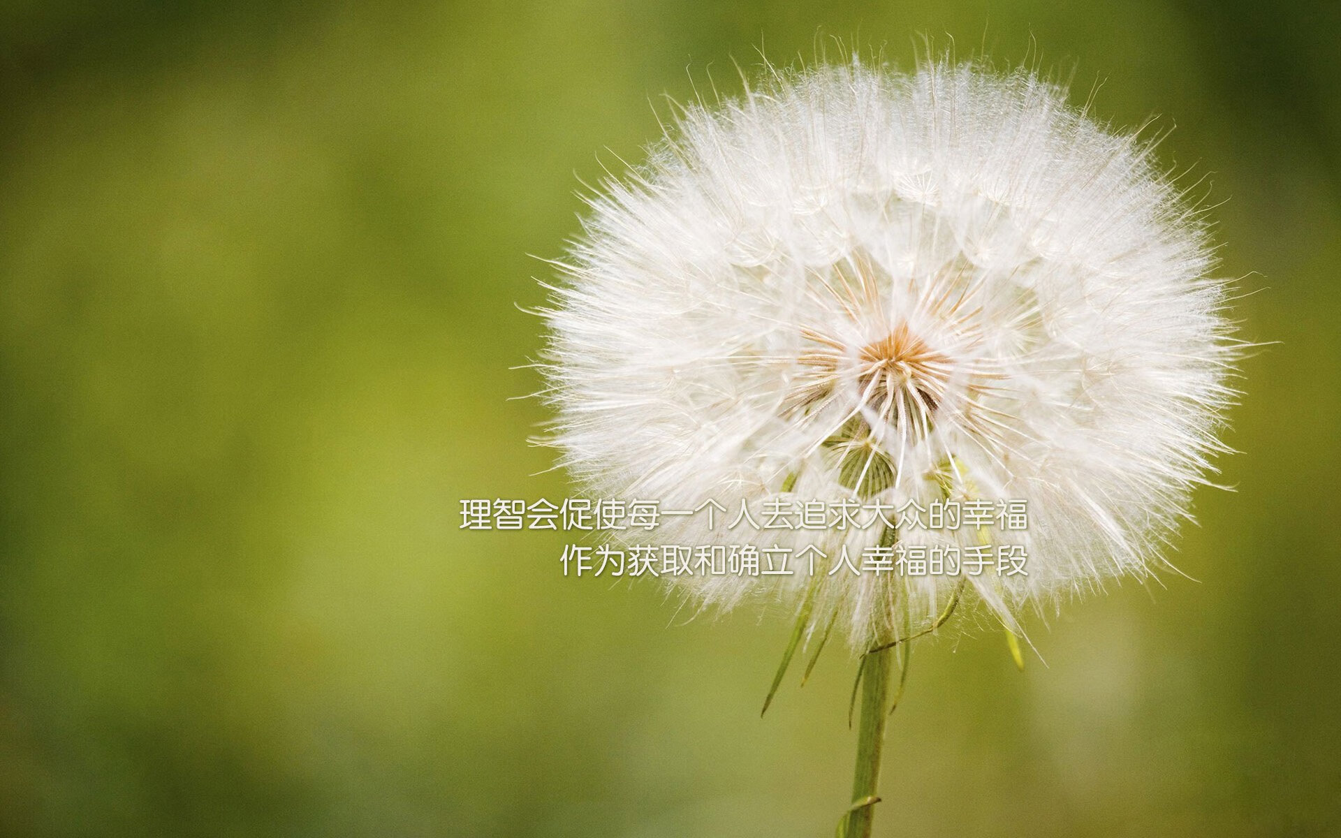 韩国决胜局力克丹麦,凯塞多数据全面爆炸引领电竞风云