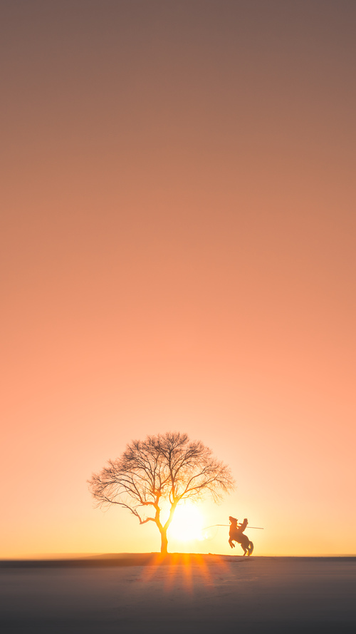 爵士队大胜尼克斯，福克斯在美加墨世界杯中接管比赛闪耀全球