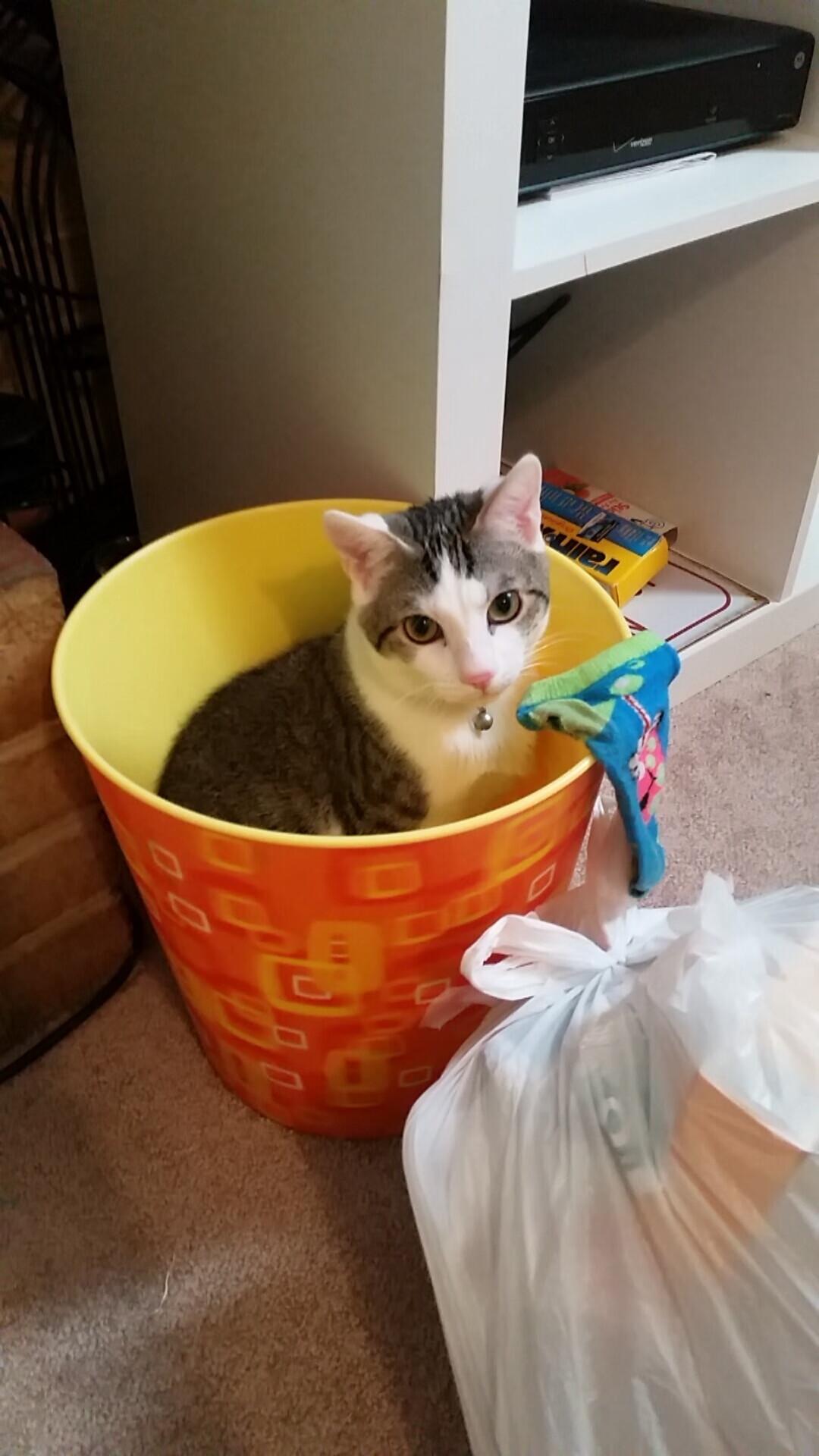 智能程序与齿轮,当哈利伯顿的稳定输出,遇上独行侠的节奏淬火