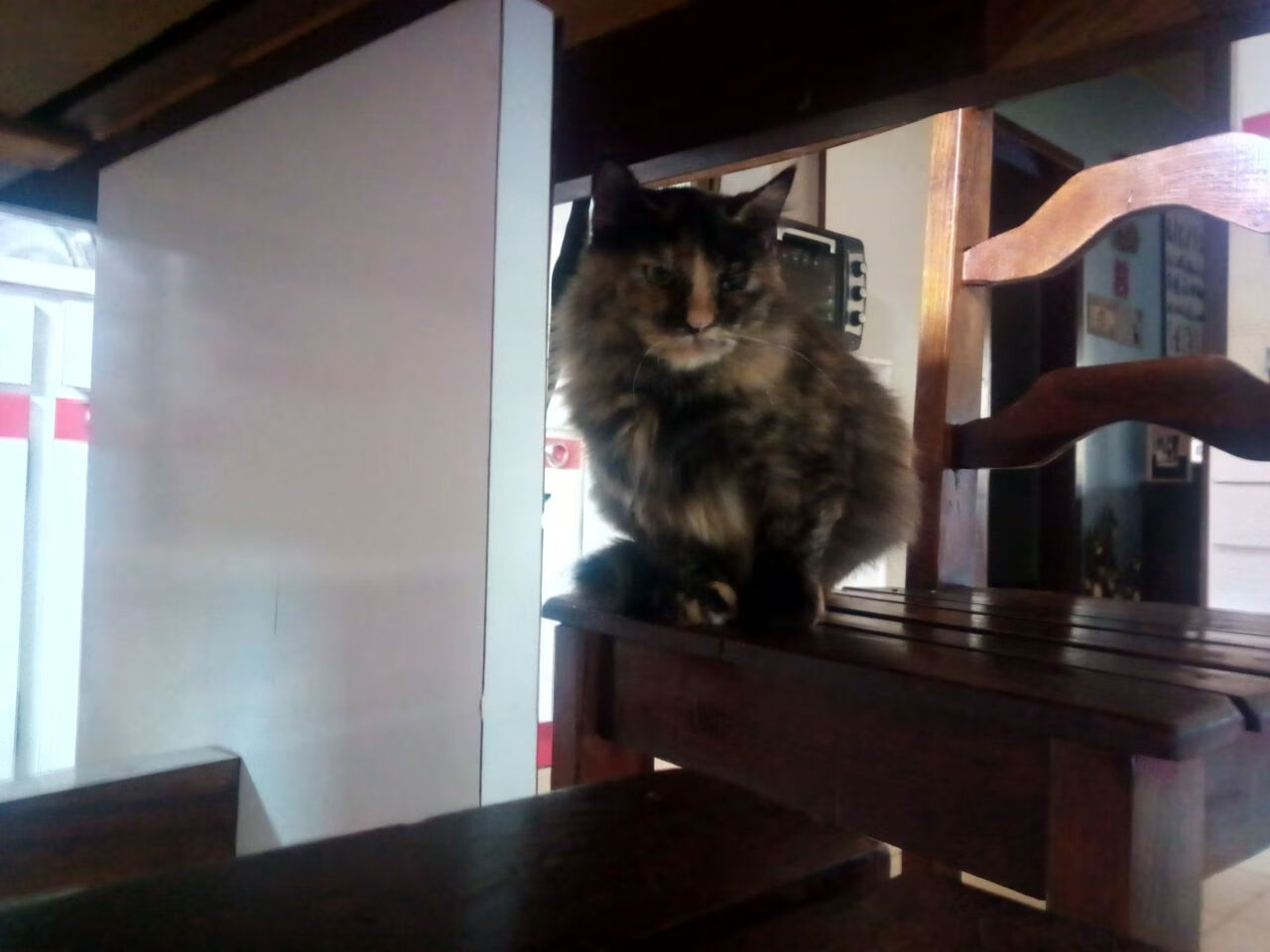 阿尔瓦雷斯帽子戏法闪耀，巴拉圭3-0速胜阿尔及利亚