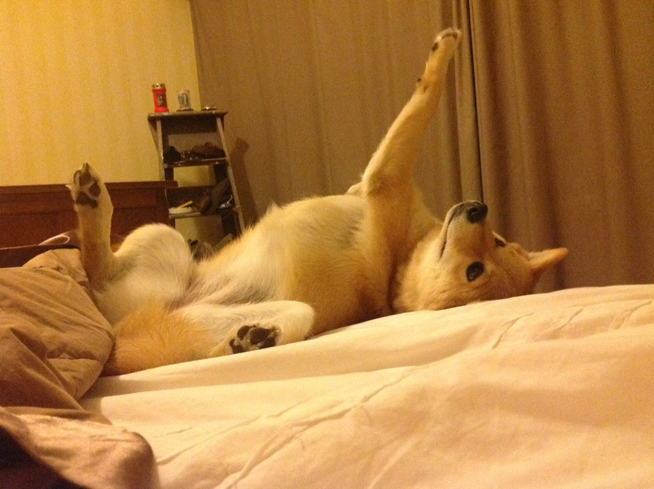 全面统治!西决生死战国王用窒息式攻防让老鹰臣服