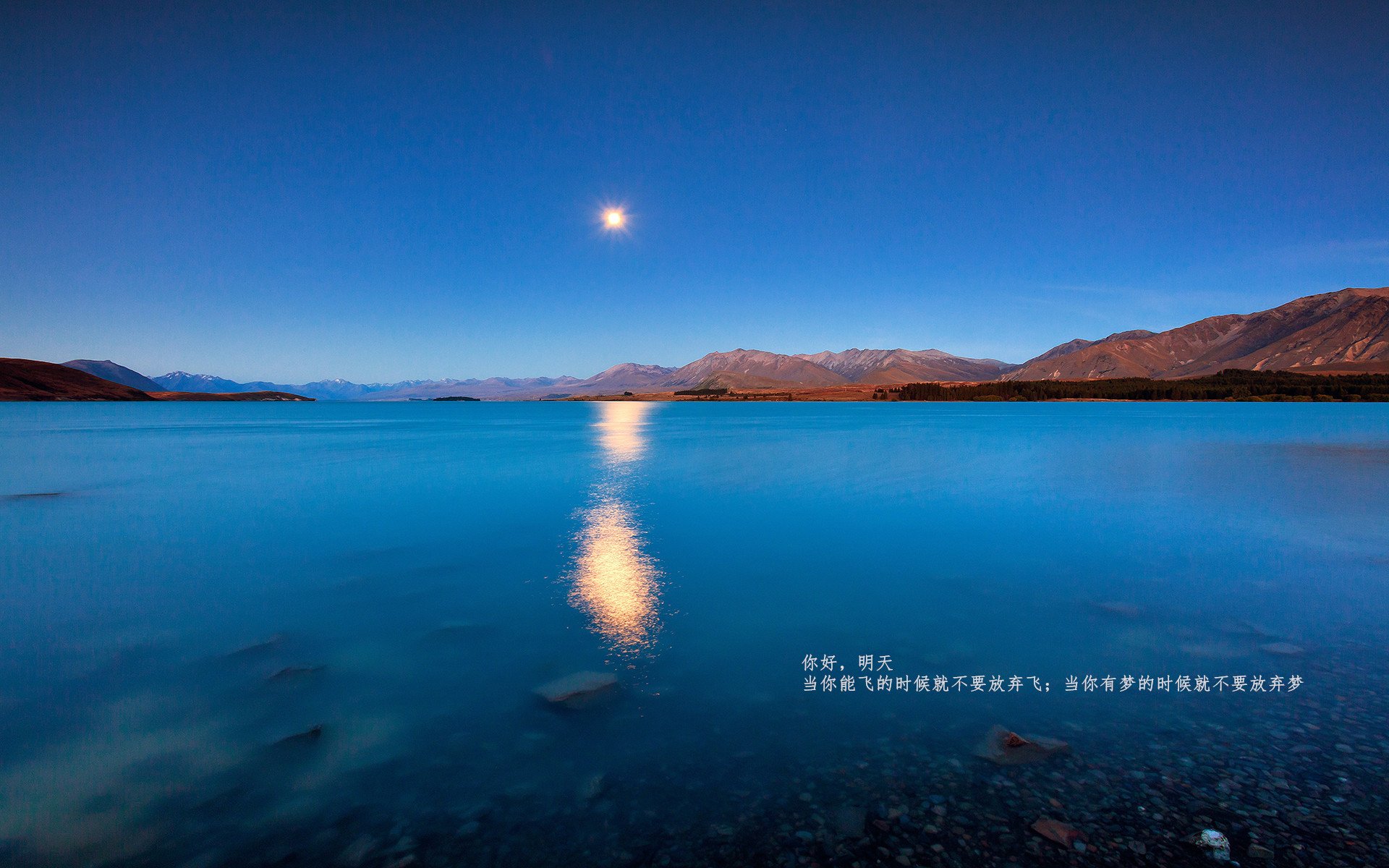 维尼修斯彻底撕碎防线!塞维利亚这场狂胜,玻利维亚后卫们被彻底打爆了