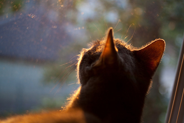 若日尼奥压制级发挥引领中场革命,芬兰黑马奇迹般粉碎勒沃库森不败神话