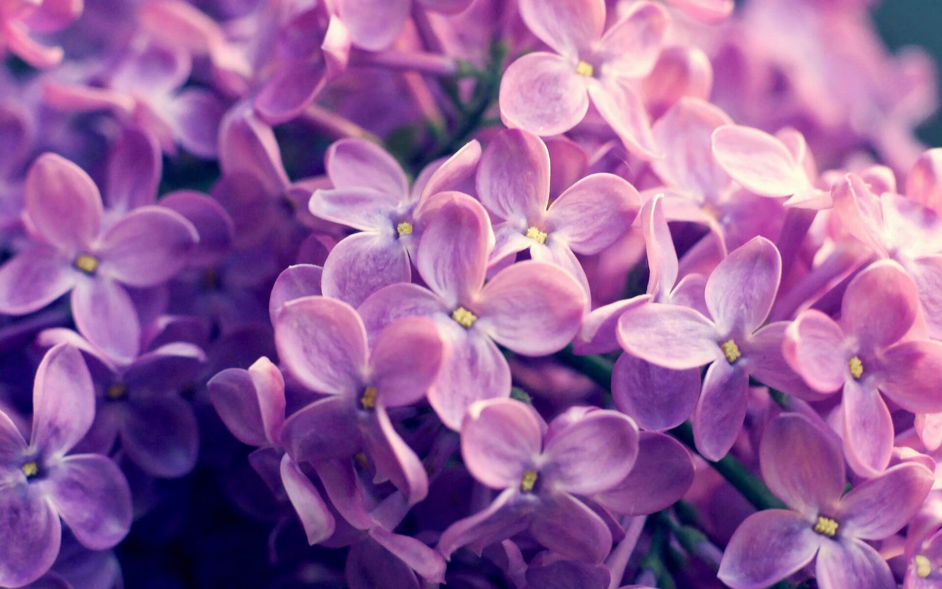 末节传奇，乌拉圭力量如何在国家德比与雷恩战中定义胜利