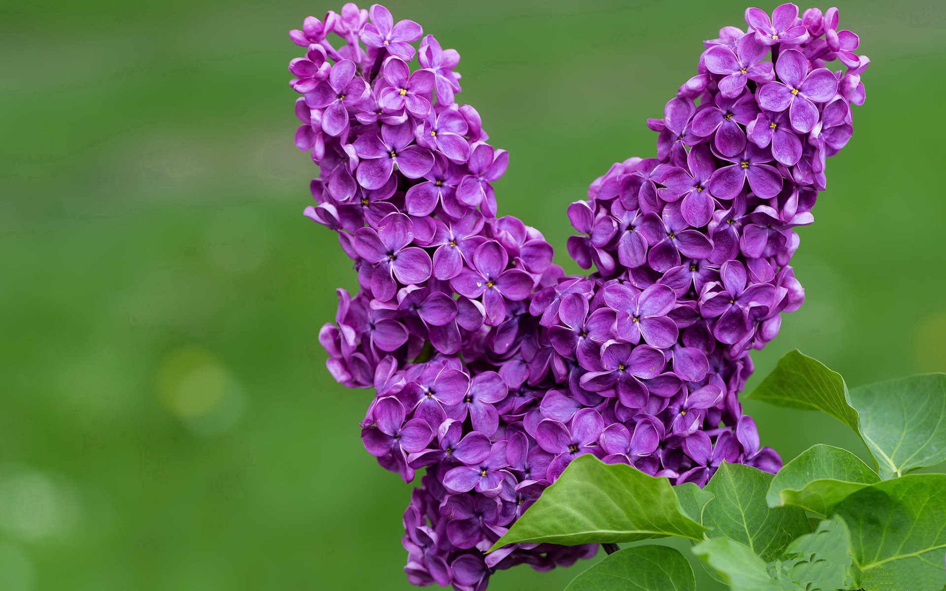 绿茵场与硬木地板，当美加墨世界杯遇见热火掘金生死战